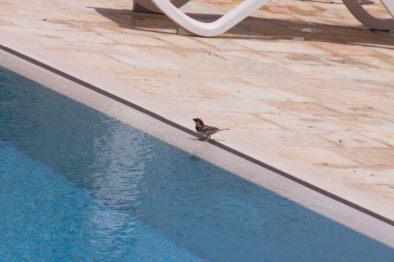 Casale Salento Bed & Breakfast Nardo Exterior photo