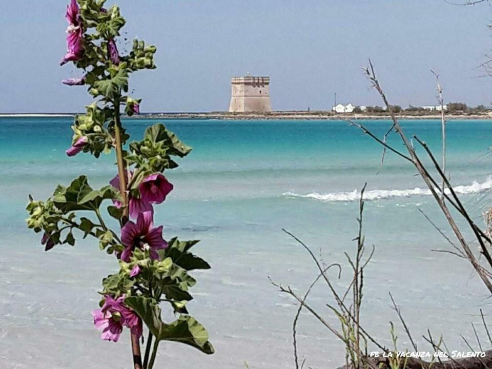 Casale Salento Bed & Breakfast Nardo Exterior photo